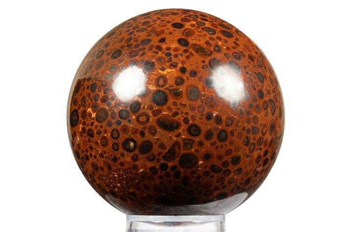 Polished Bauxite (Aluminum Ore) Sphere - Russia #316277